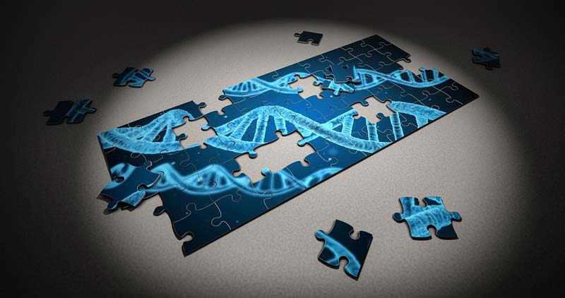 Harvard scientist develops DNA-based dating app to reduce genetic disease that critics call eugenics
	