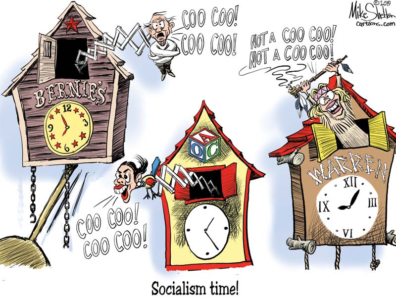 Dems use Nordic nations as models of socialism. They actually involve a lot of capitalism
	
	