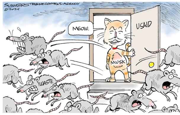 Dems should concede DOGE's diagnosis --- or confirm that they are fools
  
