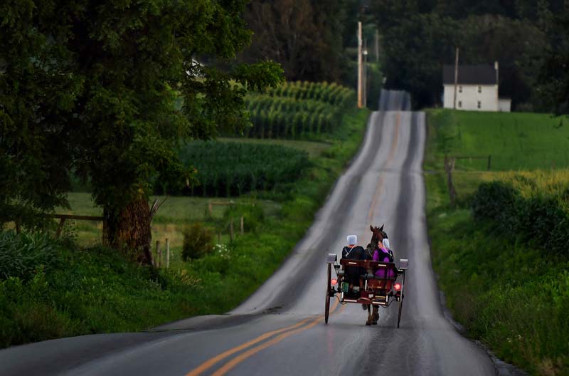Proposals for rubber horseshoes and horse 'diapers' raise concerns of religious discrimination in Amish country
	