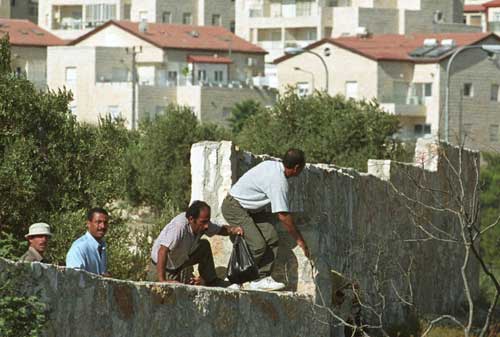 Arabs Jumping