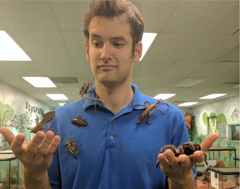 Thieves stole 7,000 creepy insects and spiders from a museum. But why?