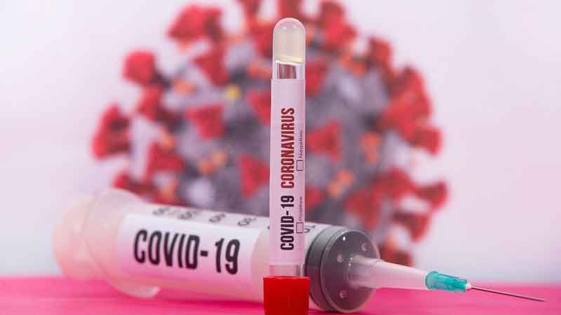 From swabs to antibodies: How to understand your coronavirus test results
