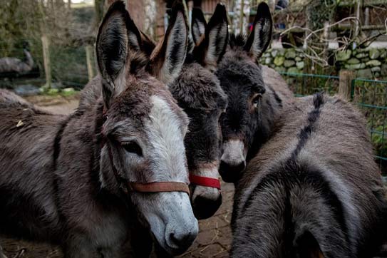 Uh-oh, Less Engaged Voters Became Much More Republican in 2024