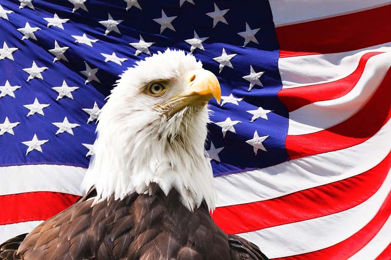 Could We Still Win a Revolutionary War?