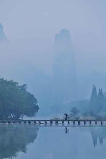 Politics Is Upstream of Culture, Too