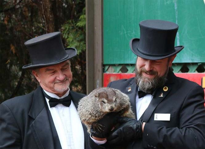 Groundhog Day, Again