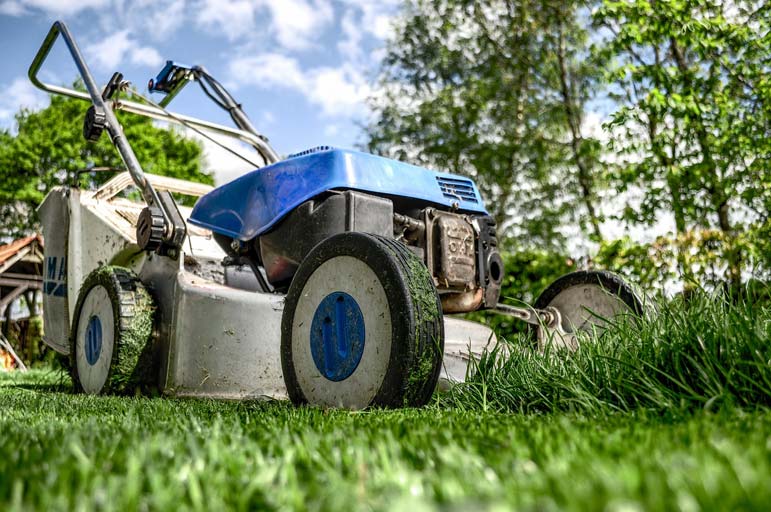  Spouting off: How the EPA made it harder to mow my lawn 