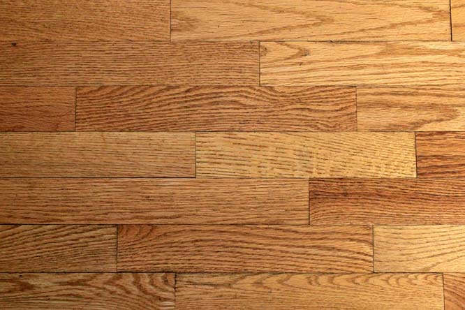 My wood floors haven't been properly cleaned in 15 years. How can I bring them back to life?
