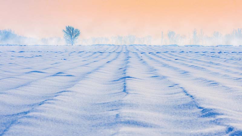  Does the pandemic mean the end of snow days, too?

