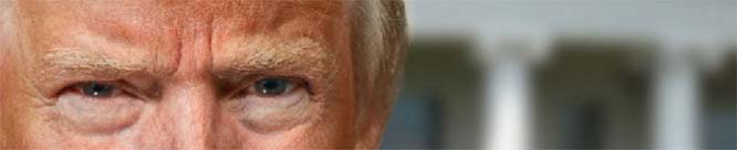 The shabbiest U.S. president ever is an inexpressibly sad specimen