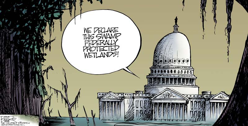 China is using the Washington swamp against us