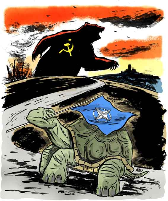 Ukraine in NATO: The heart says yes, the head no
