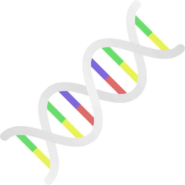 The risks of sharing your DNA with online companies aren't a future concern. They're here now
 
	
	