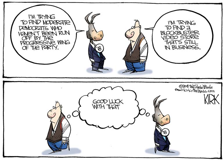 Yes, the Republican Party has changed since 2016. You think the Dems haven't?