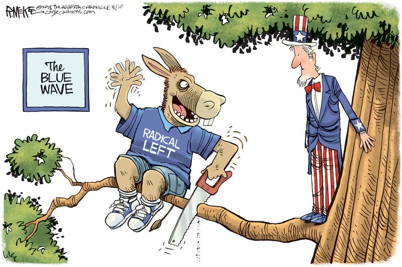 Will the Blue Wave collapse before it reaches the shore?
