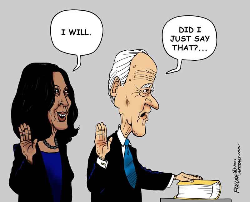 Will Voters Settle for Joe Biden's Wing(wo)man?
