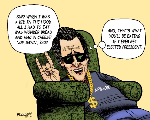 Tim Walz isn't the only governor plagued by fraud. Newsom may be targeted next
 
 