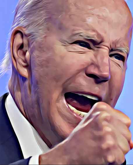 Joe Biden, the 82 year-old candidate?
   
   