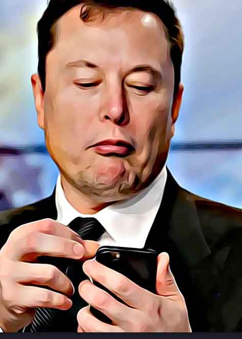 The Musk Moment
 
