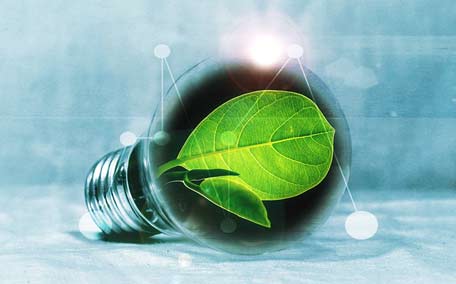 Renewables will benefit from walking on their own
 
   