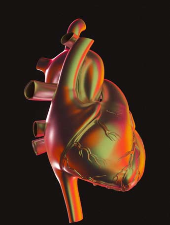 Nearly 100 organ donors may still have been alive when  procurement procedures began

