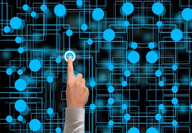 How an app for ID-ing nature around you can help find friends and love