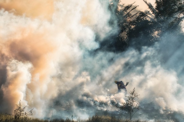 A Holiday, a Dream and a Nightmare