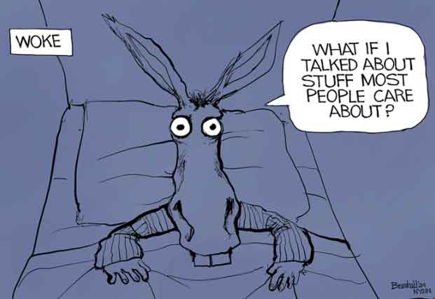 Minnesota Dems Are Testing How Woke Is Too Woke