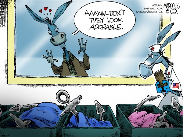 Next Up? A congresional ammendment to end birthright citizenship after court defeat

