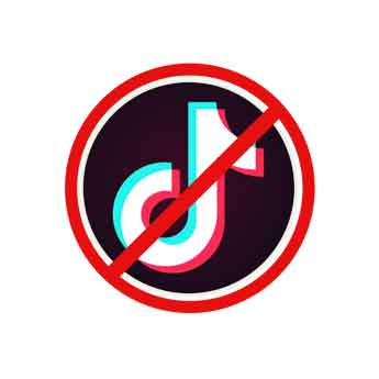 Critical thinking is losing out to TikTok. A Thanksgiving intervention might help
   