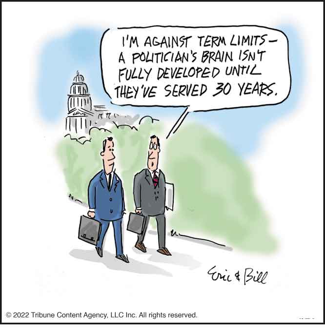 Politics and failure
