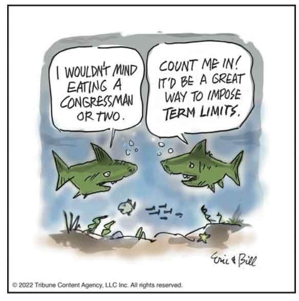 Term limits won't fix what's wrong with Congress
  

  